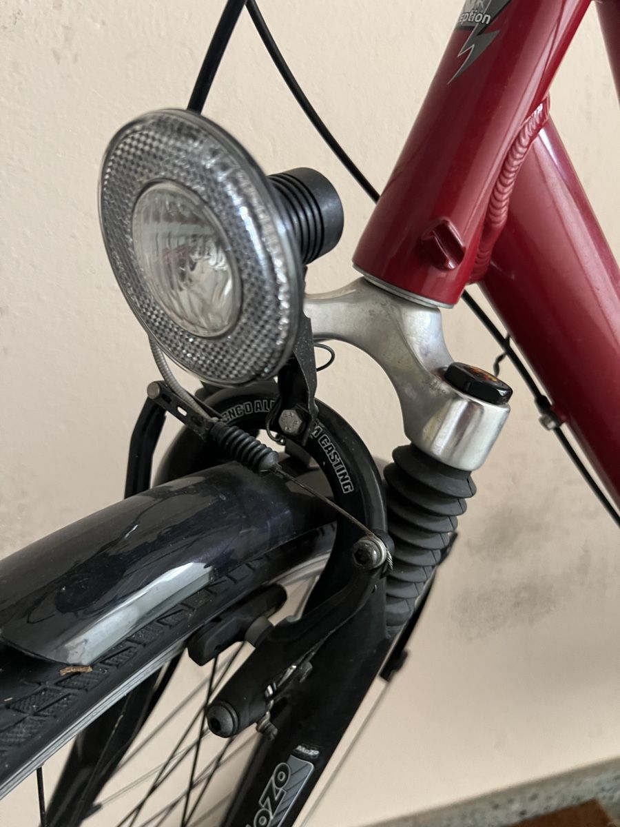 Biciclette: Ladies bicycle - Ready for Summer – Usato da Horgen venduto da Leandro_Braga 2