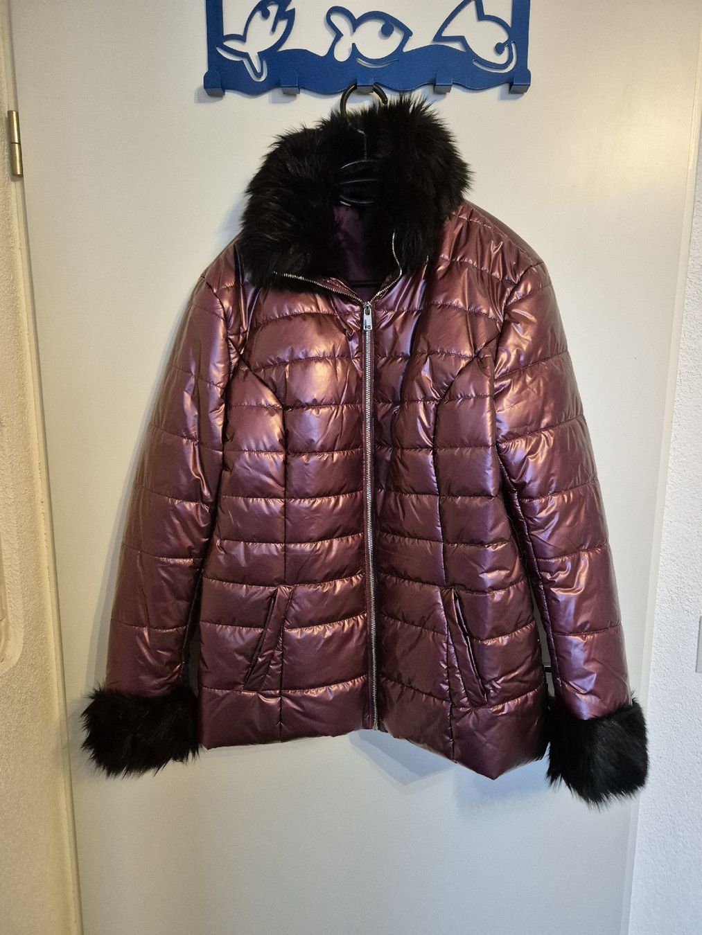 Giacche: Jacke 40 – Usato da Würenlingen venduto da kuh33