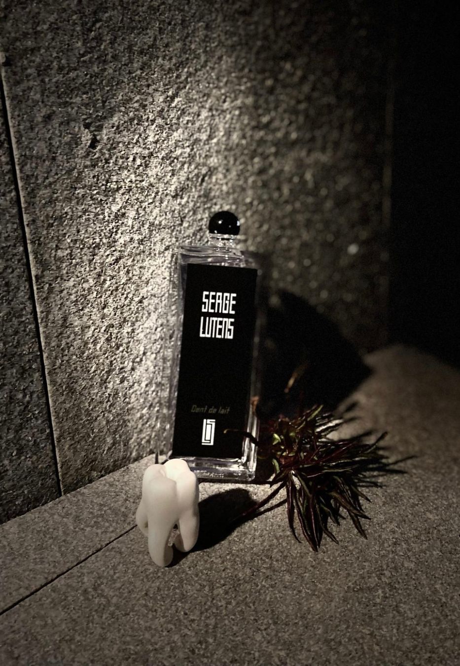 Serge Lutens Parfum & Eau de Toilette: Serge Lutens Dent de Lait eau de parfum  6 ml sample – Neu (gemäss Beschreibung) aus Chêne-Bougeries von Seetooyoo 5