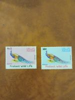 Lot de 2 timbres rares du Pakistan - Paon 🐅🕊️ (49)