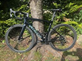 Top Specialized Roubaix SL8 Rennrad Sommer-Angebot!