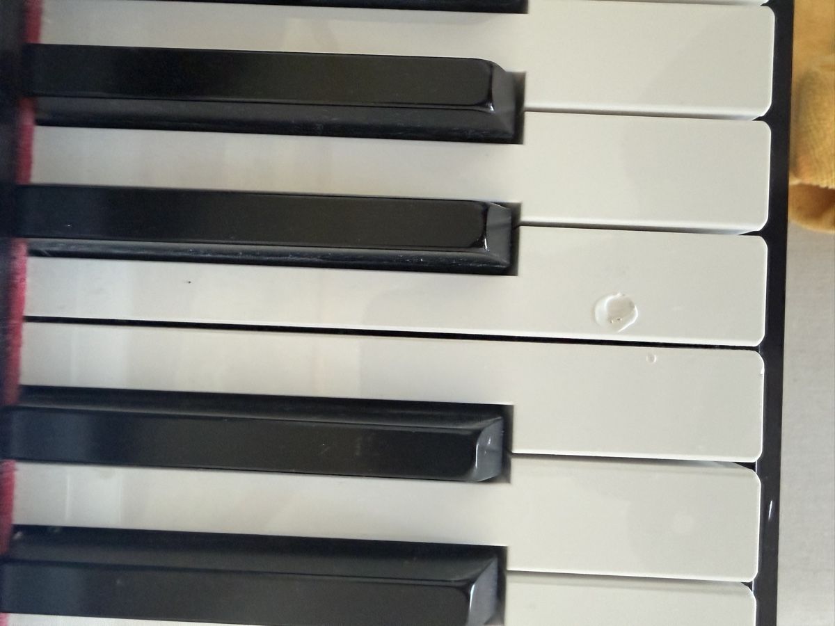 Yamaha Strumenti musicali: Yamaha Arius – Usato da Meisterschwanden venduto da mal_m6n2 1