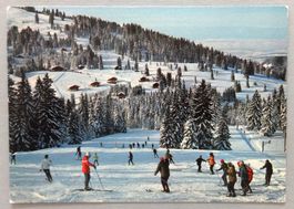 Champs de ski des Paccots