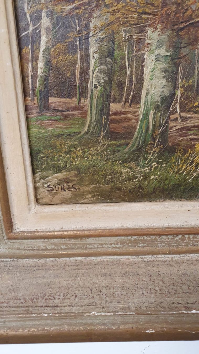 Tableaux: OELGEMÄLDE MIT SIGNATUR – D'occasion à Dietikon par brocki-eyra 7