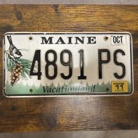 🇺🇸 U.S. Autoschild - Maine 4891 PS - ORIGINAL
