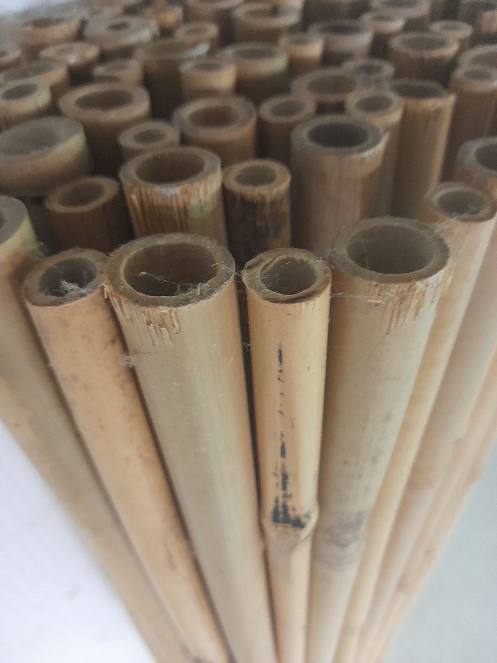 Articoli in legno: Bambus matte – Usato da Glattbrugg venduto da B_B 3