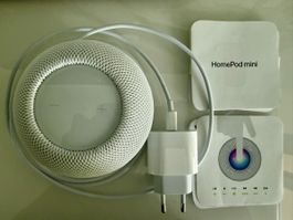 Home Pod Mini Weiss