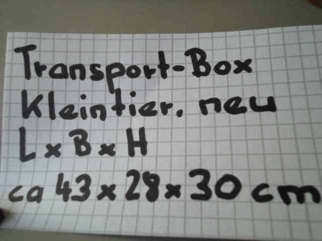 Gabbie, trasporto & Sicurezza: Kleintier-Transportbox – Nuovo (secondo la descrizione) da Stein AR venduto da dylesi 7