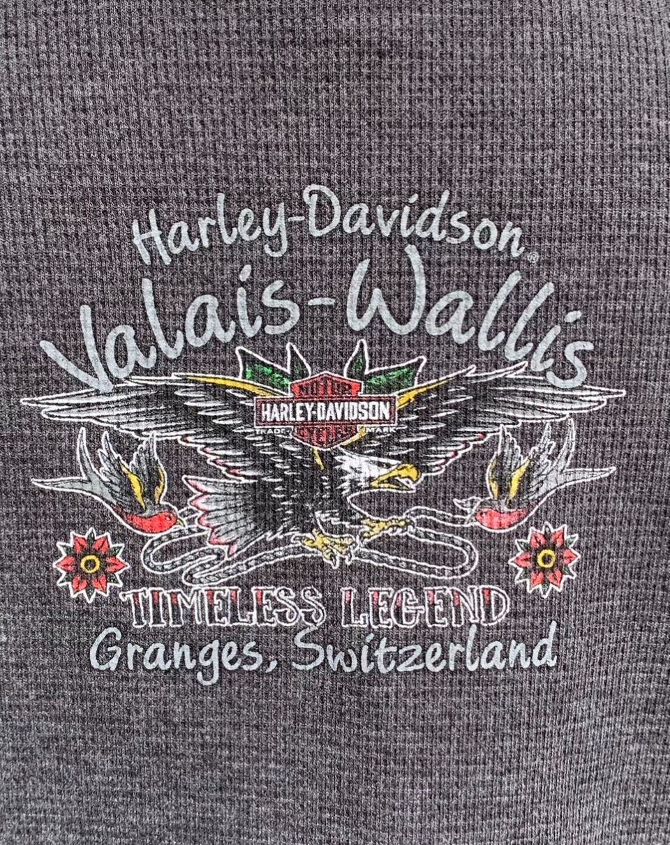 Maglioni & Felpe: Valais-Wallis HARLEY-DAVIDSON Pull Thermal chaud gris t.L – Usato da Martigny venduto da only__you 9