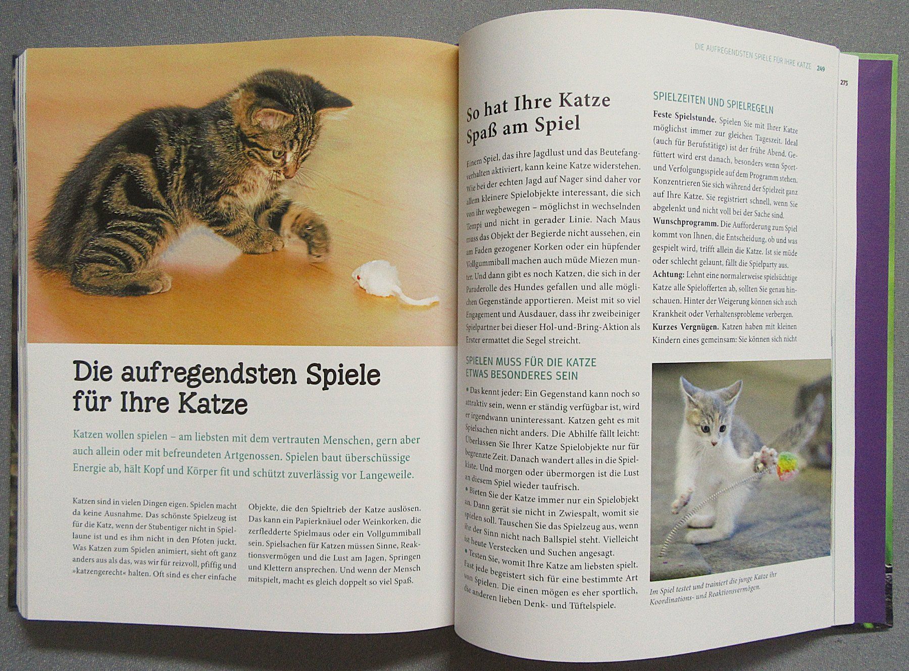 Bücher: Katzen - Das grosse Praxishandbuch - GU – Gebraucht aus Auenstein von Padabimbim 7