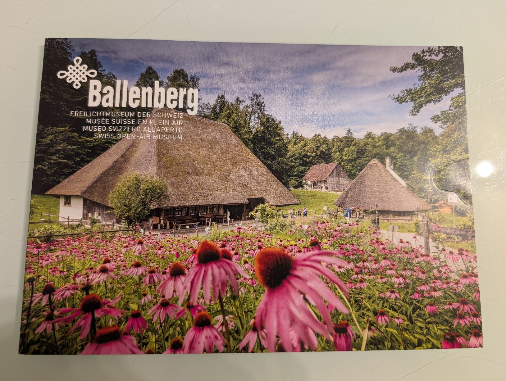 Bons: Tageseintritt Ballenberg – Neuf (Voir description) à Hünibach par Bigal88