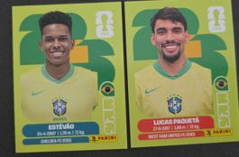WM 2026 Brasilien