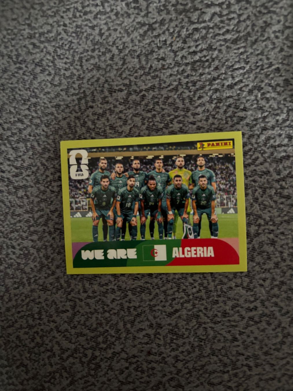 Panini Carte collezionabili: Panini Sticker ALG 13, Algerien WM 2026 – Nuovo (secondo la descrizione) da Otelfingen venduto da mar_j67x