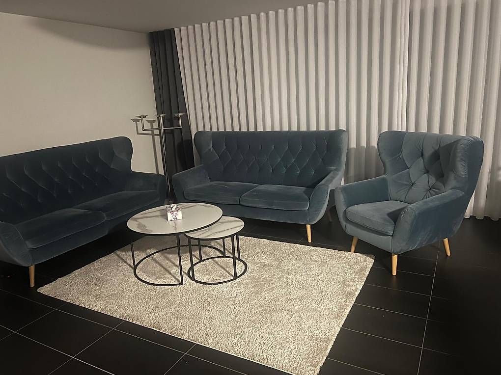 Divani: 2 Sofas 1 Sessel (Qualitäts-Couch) – Usato da Biel/Bienne venduto da ard_czj7