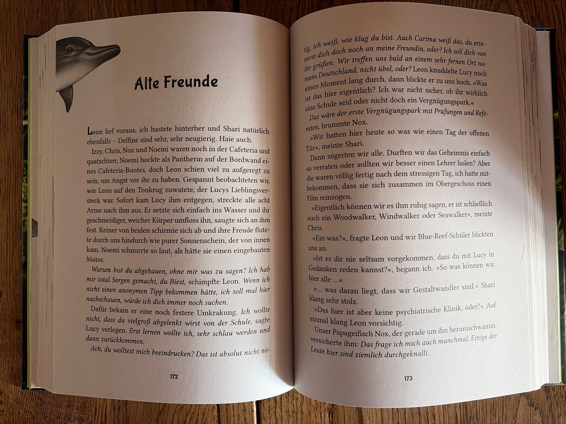 Bücher: Fantasy Jugendbuch – Gebraucht aus Wichtrach von angizmo 2