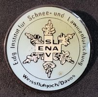 Y939 - Pin Eidg. Inst. Schnee & Lawinenforschung DAVOS