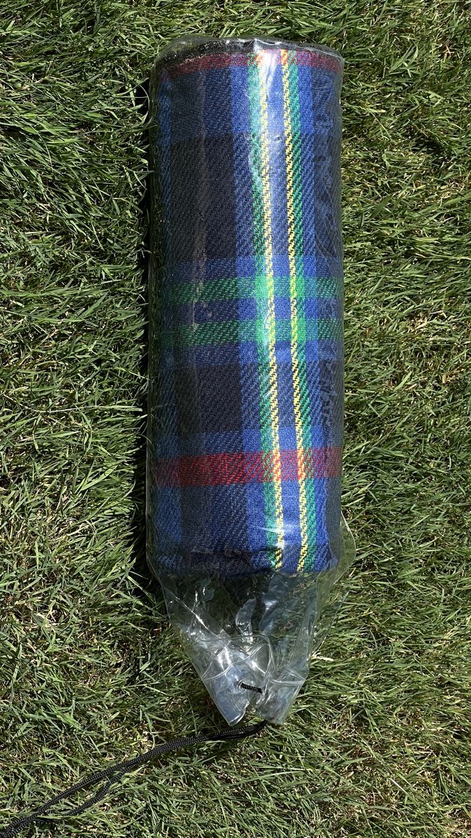 Frigoriferi & Refrigeratori: Kühltasche inkl. Picknickdecke – Usato da Aesch LU venduto da HSchnitzler 5