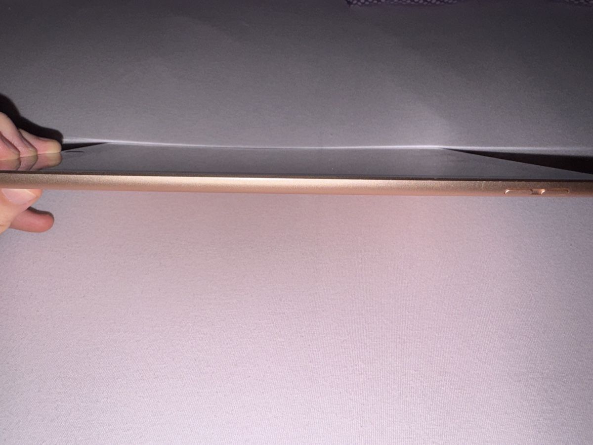 Apple Tablet PC: iPad 8. Generation (2020) Rosa 32 GB – Usato da Wil SG venduto da Edz2017 2