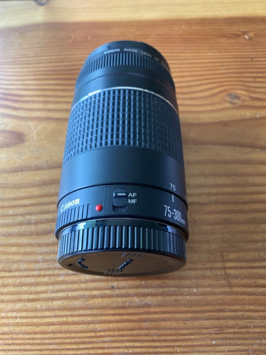 Canon Obiettivi: Canon Zoom Lens EF 75-300 mm – Usato da Schmitten FR venduto da noa_vm8b