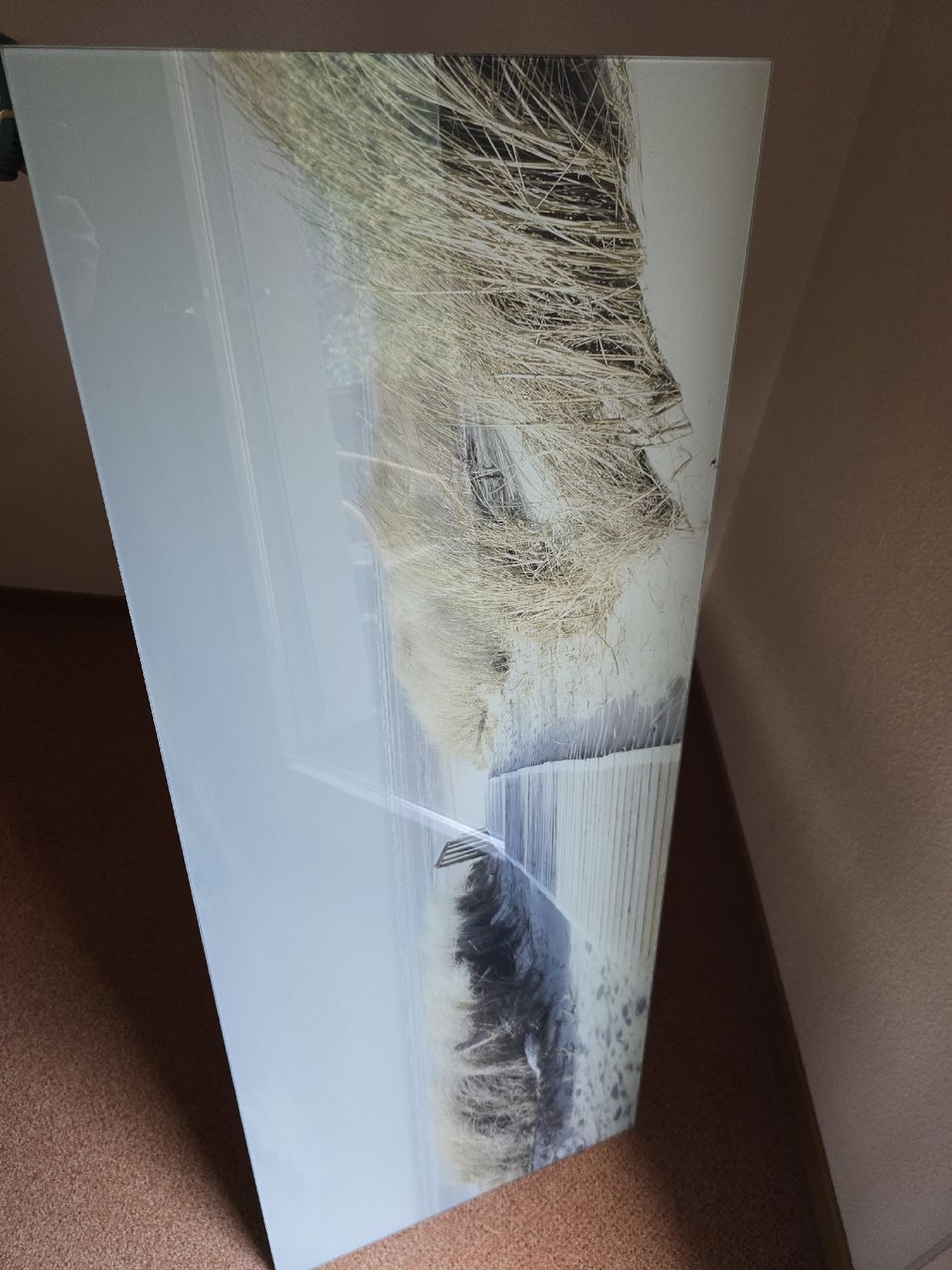 Poster & Bilder: Glasbild Seeblick III GLA392 125x50 cm – Neu (gemäss Beschreibung) aus Berikon von Airxonic 3