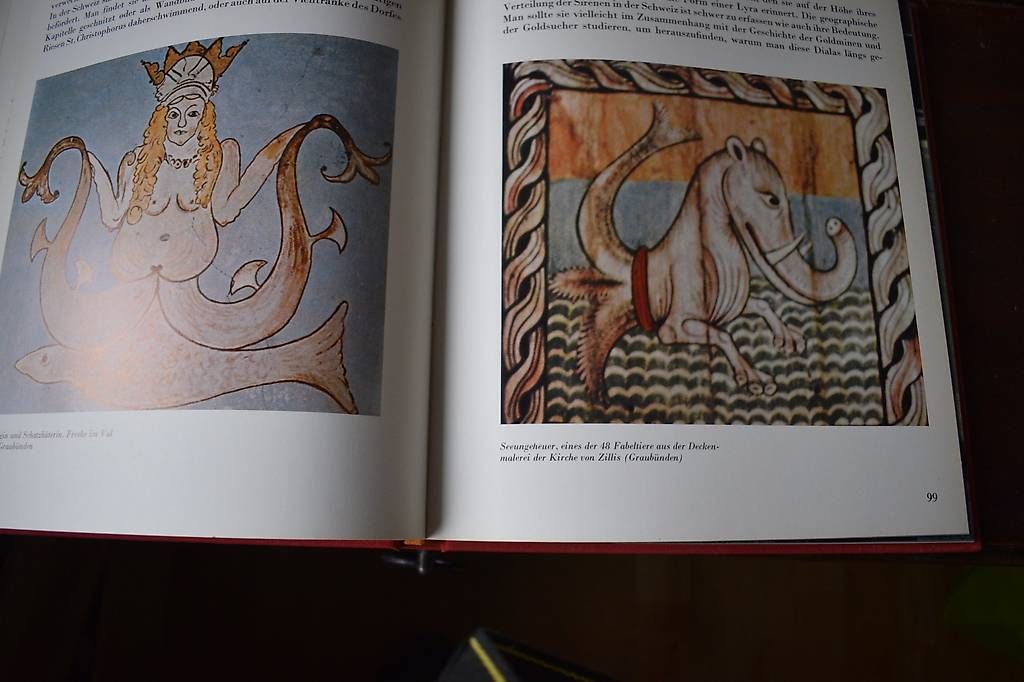 Bücher: Die Seltsame Schweiz – Gebraucht aus Brügg BE von Aristotolius 4