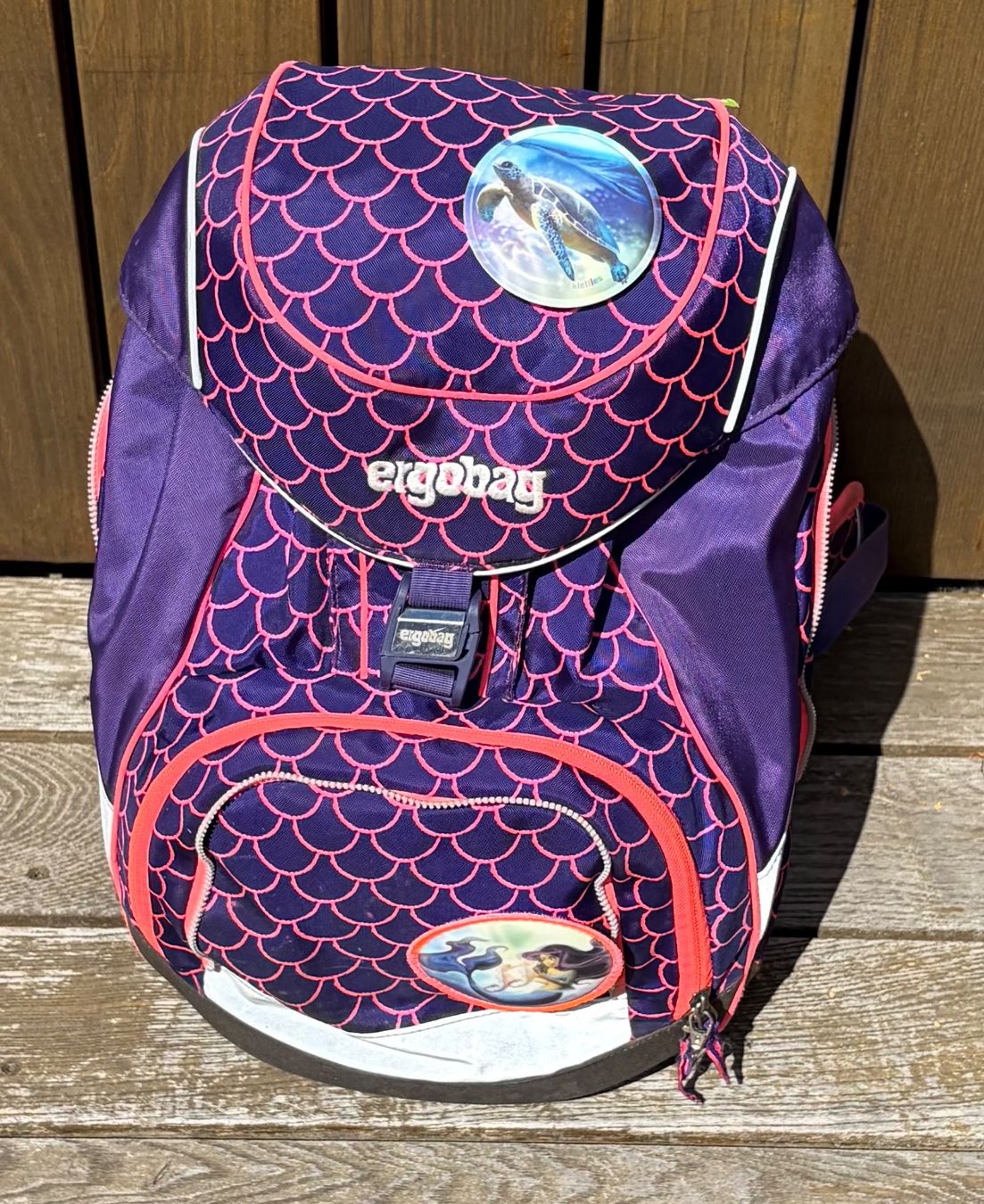 Ergobag Borse & Zaini: Ergobag Rucksack + Turnbeutel – Usato da Bühler venduto da Haldengais