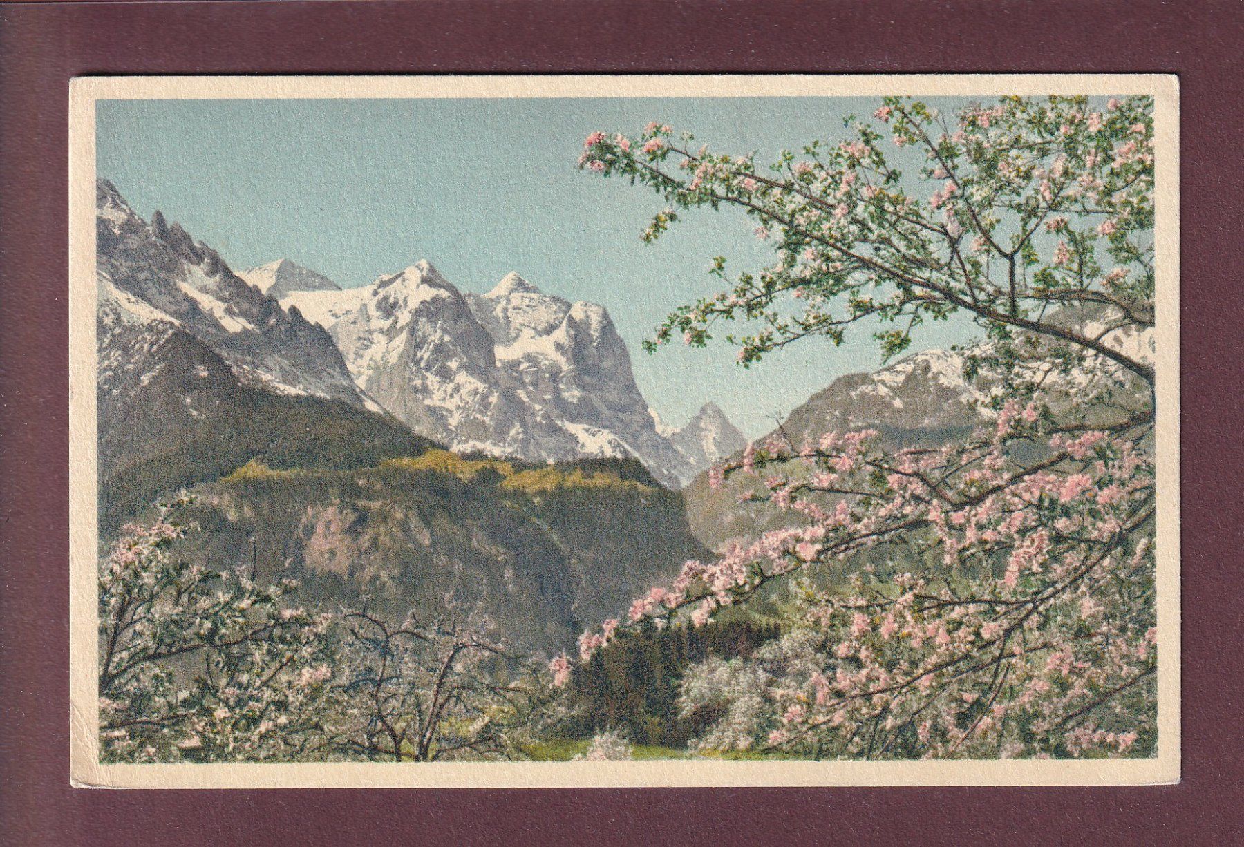 Ansichtskarten: WELLHORN - WETTERHORN - EIGER - Frühling – Gebraucht aus Pully von nicecards