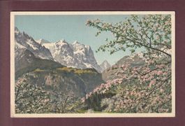 WELLHORN - WETTERHORN - EIGER - Frühling