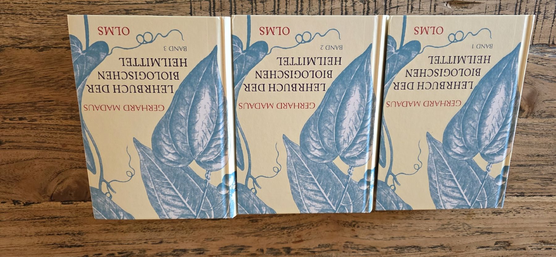 Libri: Lehrbuch der Biologischen Heilmittel – Nuovo (secondo la descrizione) da Günsberg venduto da Bari72