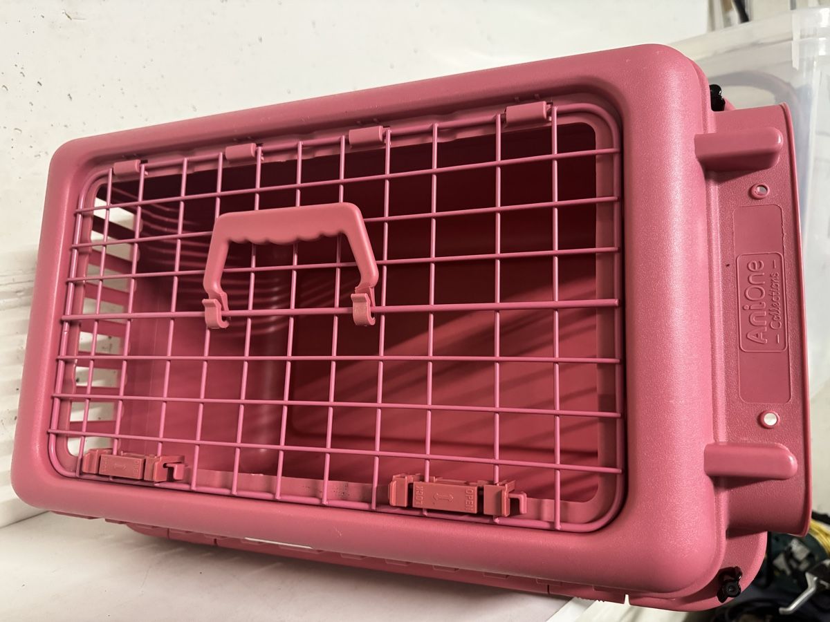 Gabbie, trasporto & Sicurezza: Transportbox Haustier rosa gebraucht – Usato da Büttikon AG venduto da jen_g5s9 2