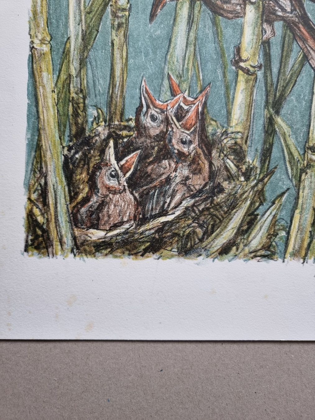 Grafiken & Lithographien: Diggelmann Alex Walter  LITHOGRAPHIE SIGNIERT – Gebraucht aus Gersau von kunst-online 2