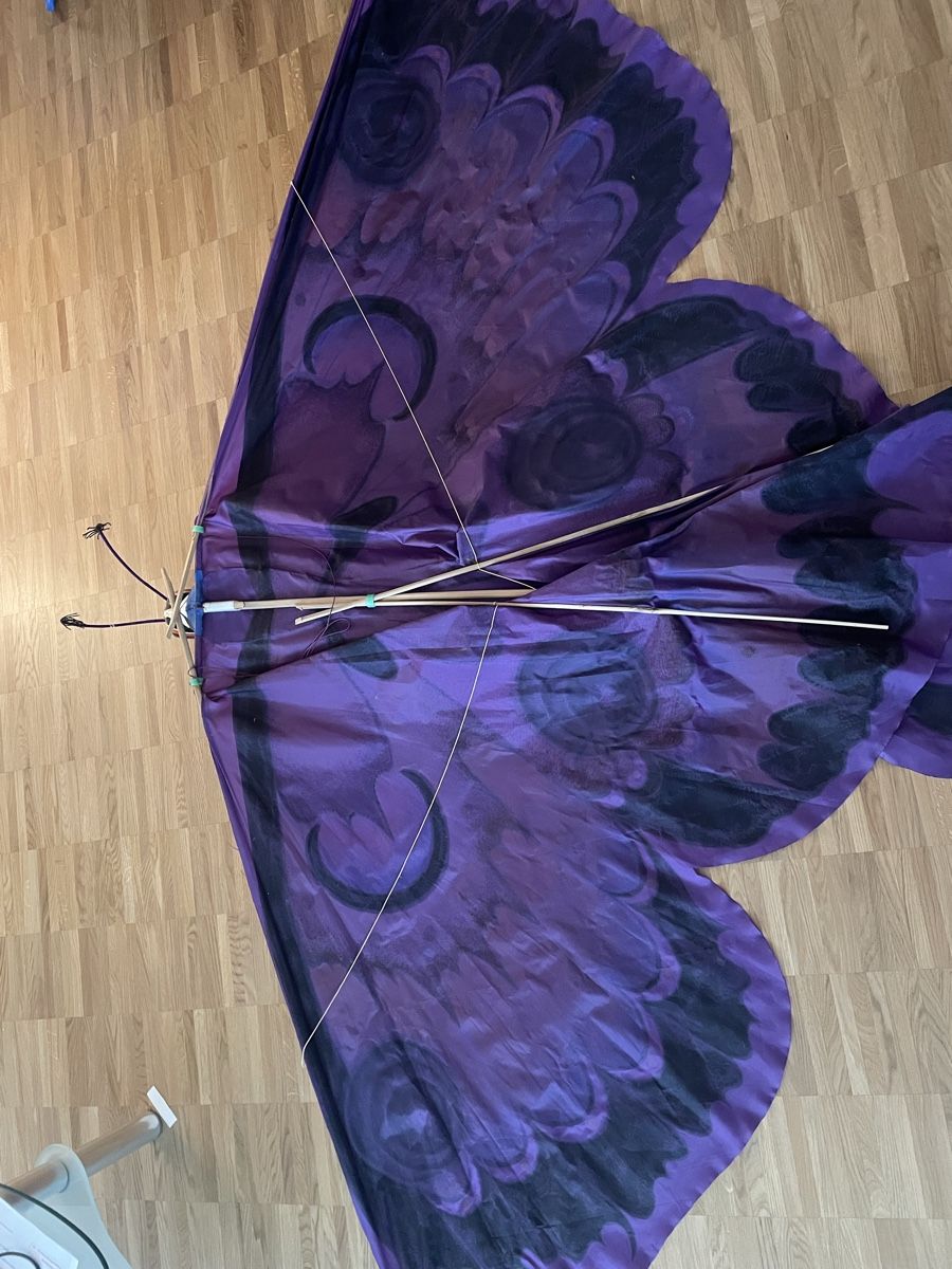 Tutte le decorazioni: riesengrosser Schmetterling – Usato da Schwerzenbach venduto da schwerzi70 7