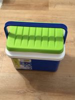 GO STYLE Cooler Box Blue/Green Used