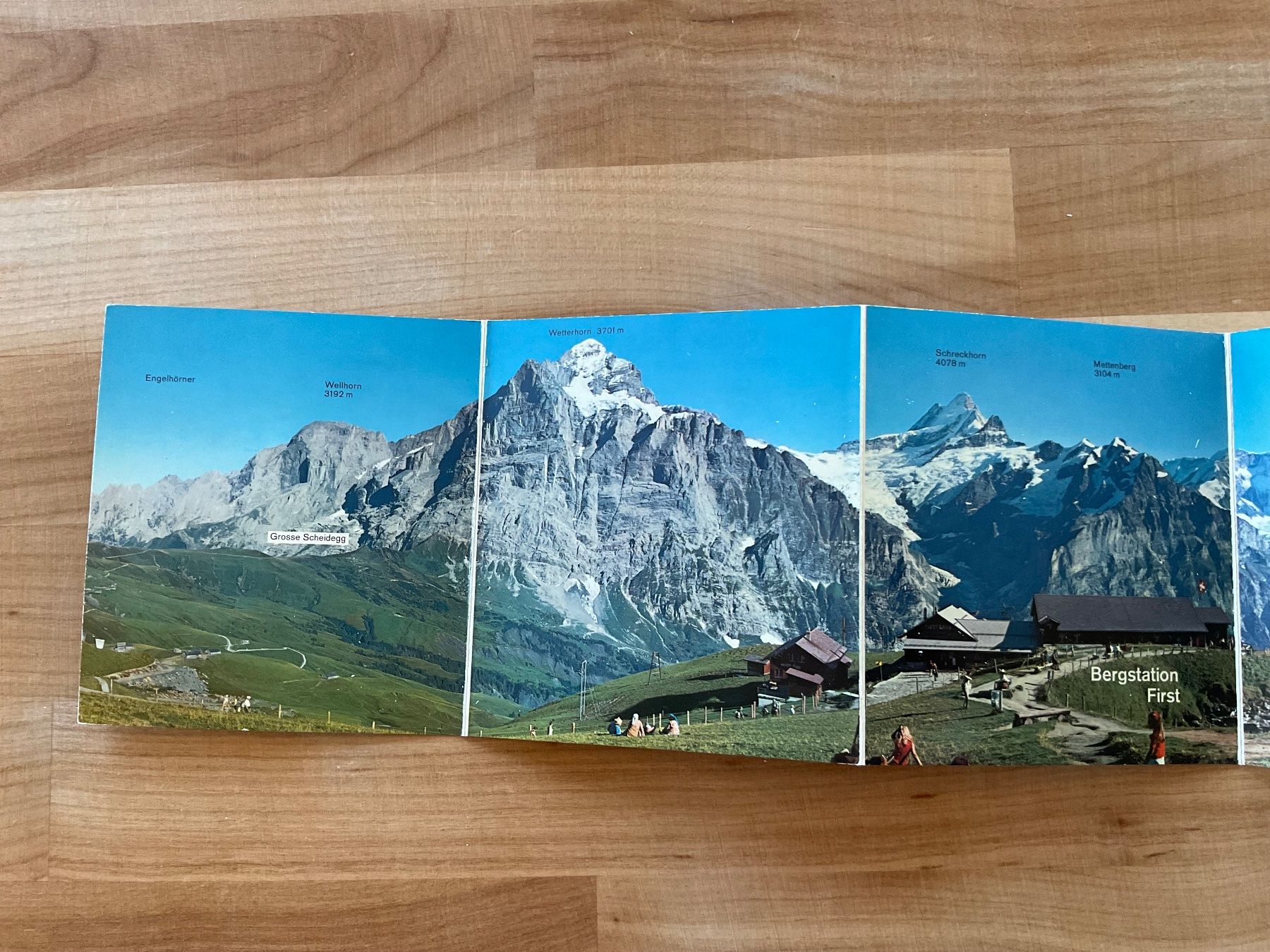 Cartes postales: Panorama Grindelwald – D'occasion à Rümlang par euqinom16 2