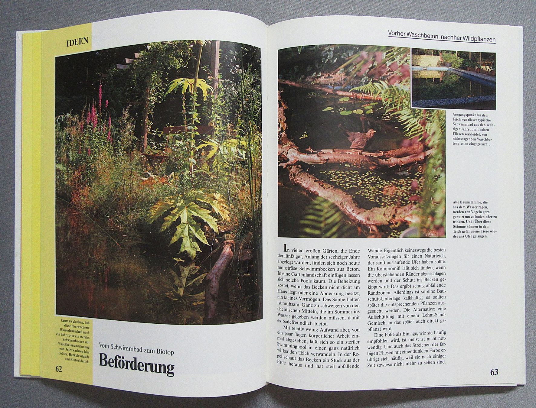 Libri: Der Wassergarten - Teiche • Bäche • Pflanzen • Tiere – Usato da Auenstein venduto da Padabimbim 5