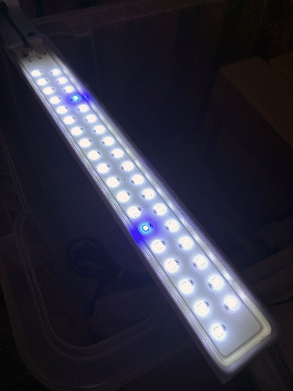 Fluval Lampade: Aquariumbeleuchtung – Nuovo (secondo la descrizione) da Embrach venduto da squarely 1