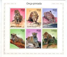 Block "Jaguar". Guinea-Bissau