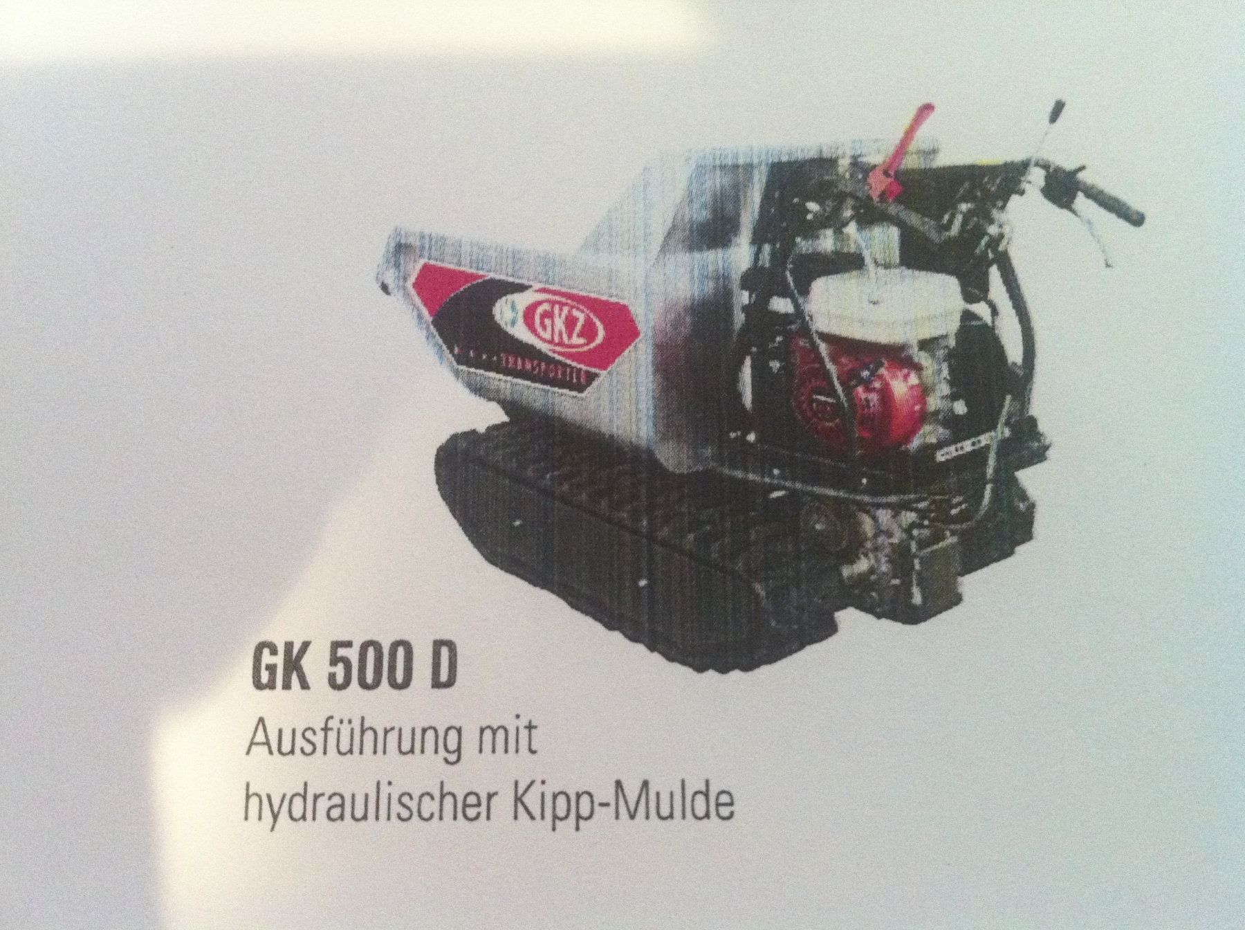 Veicoli commerciali: Raupentransporter – Usato da Ibach venduto da garagebuerglergmbh