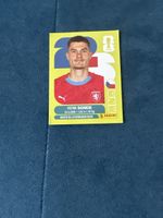 Panini Cze20