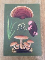 AK neu Illustration Pilz Royal Botanic Gardens Fungarium
