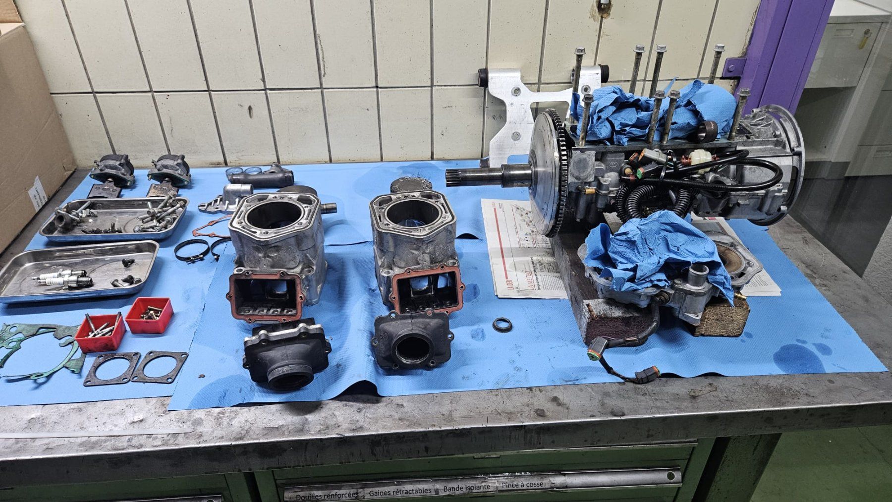 Ski-Doo Altro: SkiDoo MXZ 800 – Usato da Sion venduto da delta01 6