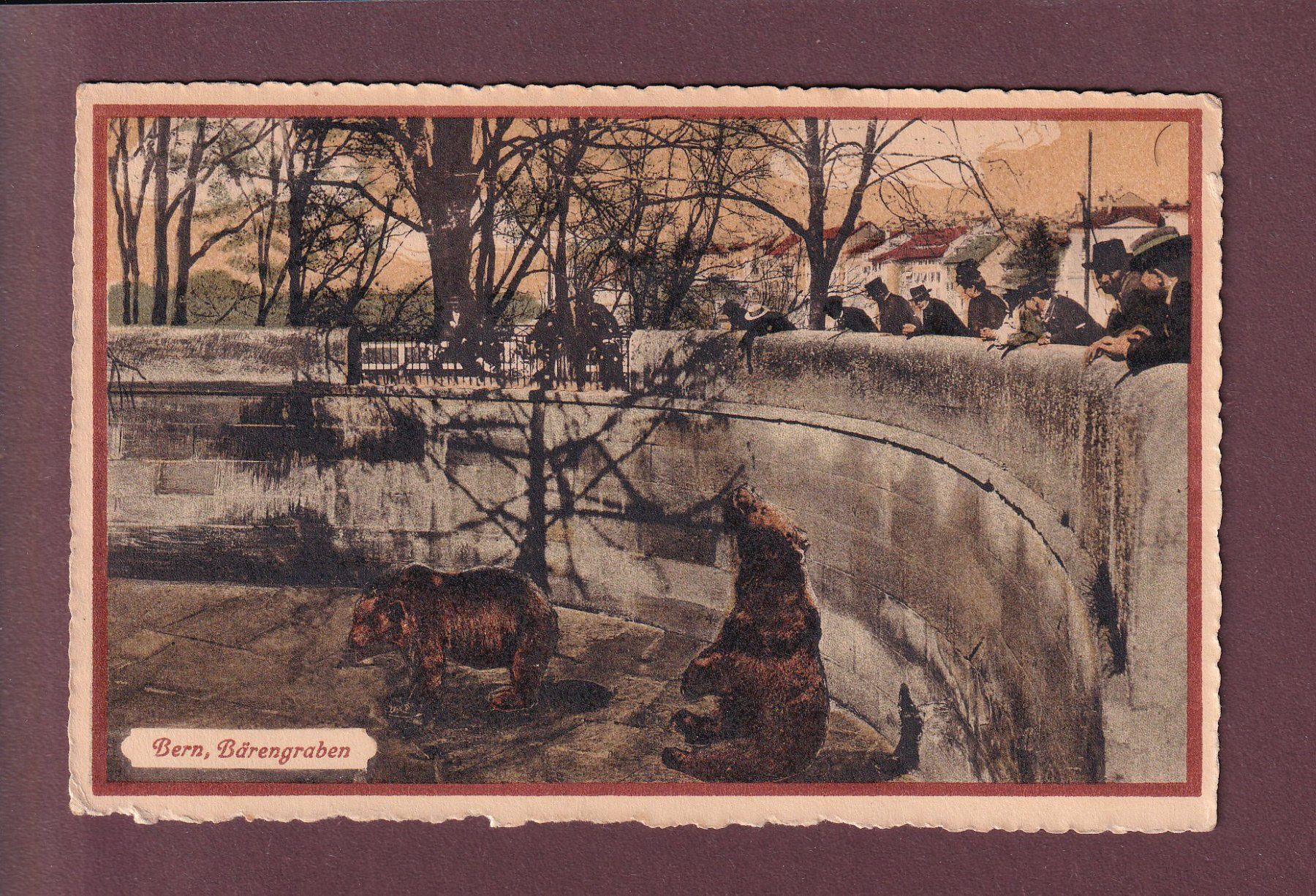Cartoline postali: BERN - Bärengraben - 1917 – Usato da Pully venduto da nicecards