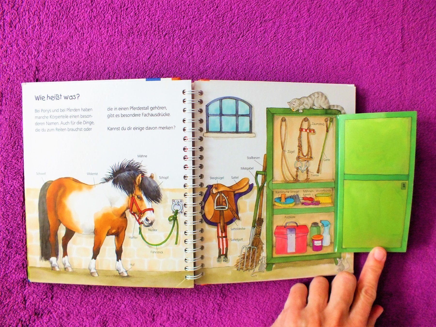 Libri: Wieso Weshalb Warum Junior - Das Pony – Usato da Müllheim Dorf venduto da Seeeule01 5