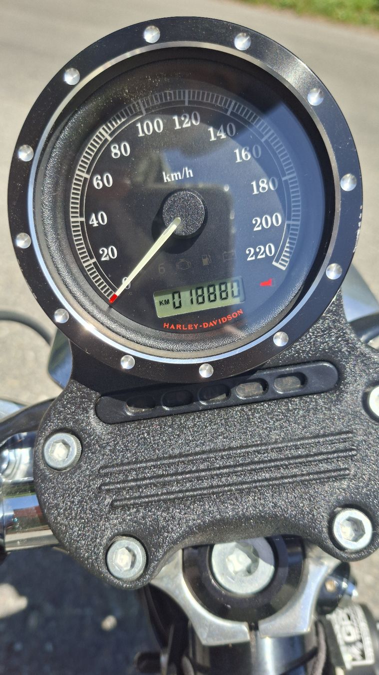 Harley-Davidson Chopper: Harley Davidson  XL 883 L , 2013 , 19Tkm – Gebraucht aus Schliern b. Köniz von sacatudo 8