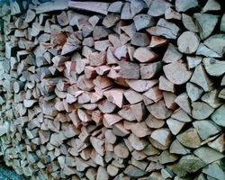 Brennholz Buchenholz mit Lieferservice