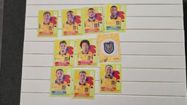 Panini Ecuador WM 2026 Sticker ECU