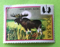 Briefmarken aus Polen gestempelt Siehe Original Fotos. 