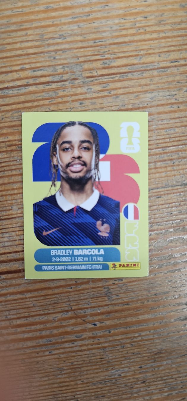 Panini Carte collezionabili: Fifa World Cup Panini FRA 16 – Nuovo e nell'imballaggio originale da Biel VS venduto da volcom8702