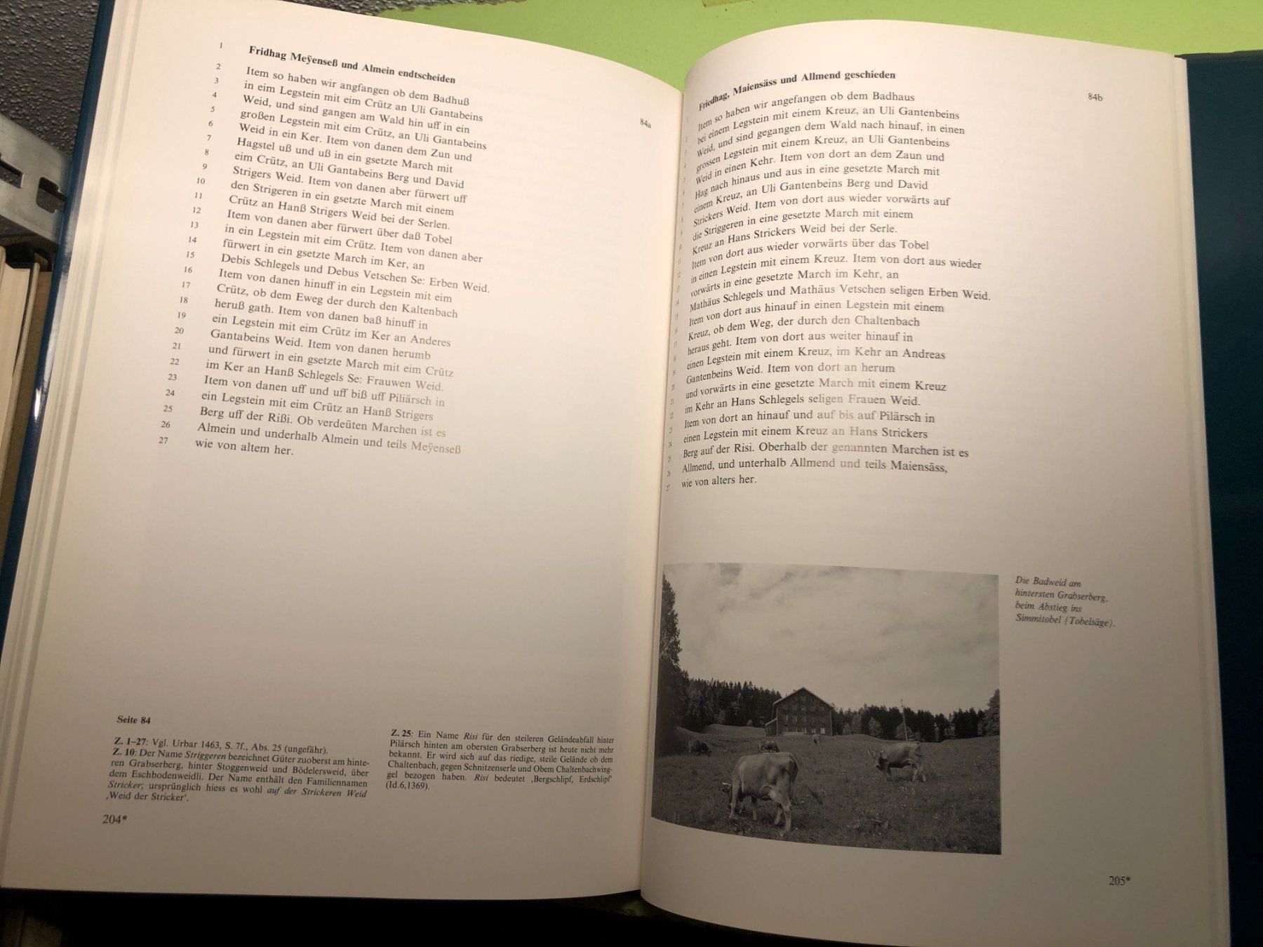 Libri: Stricker: Das Urbar der Gemeinde Grabs – Usato da Zürich venduto da allp 8