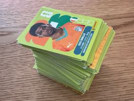 Panini WM 2026